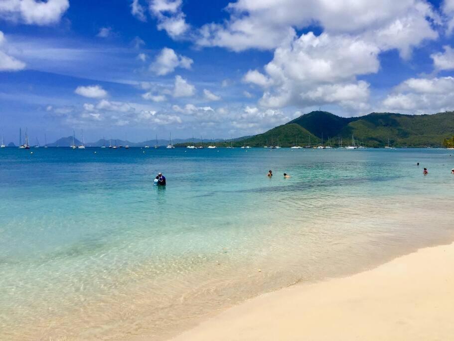 Hamo Cosy Piscine Proche Plage Sainte-Anne Zewnętrze zdjęcie